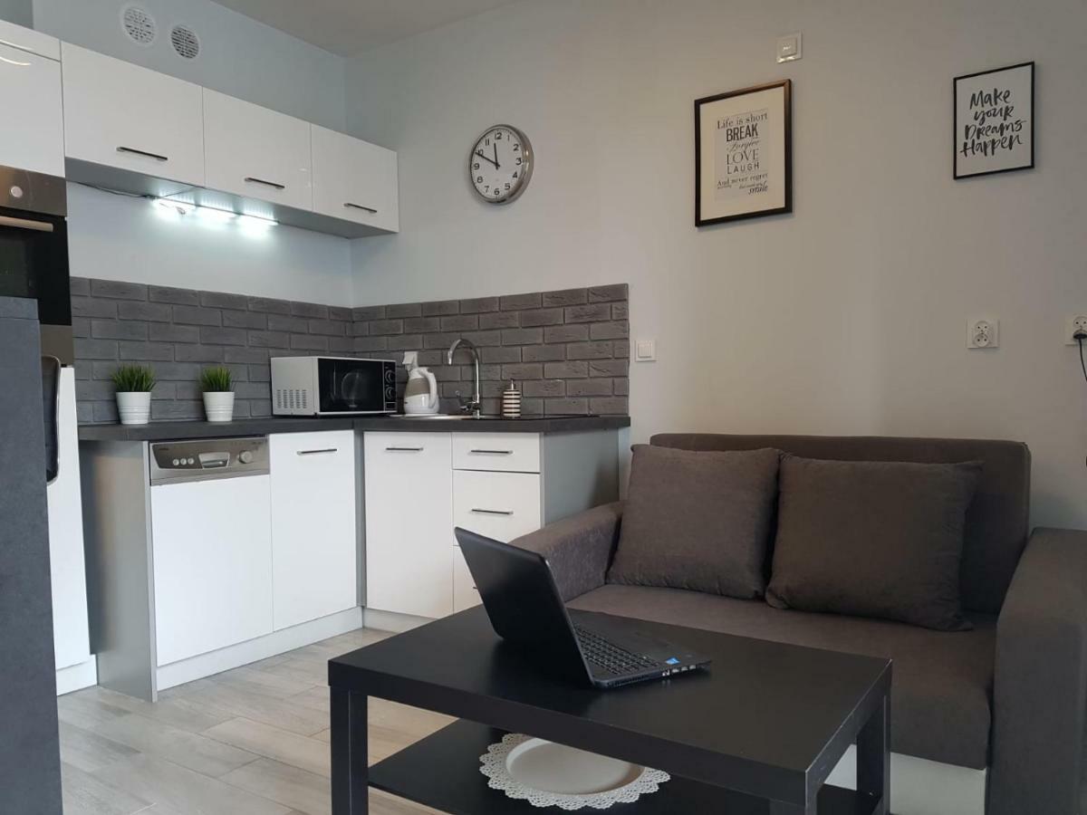 Apartament Nito Centrum غوجوف فييلكوبولسكي المظهر الخارجي الصورة